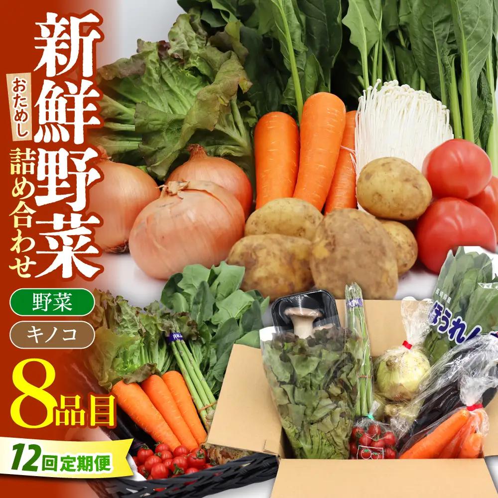 【12回定期便】野菜定期便 8品目 [SCZ030]