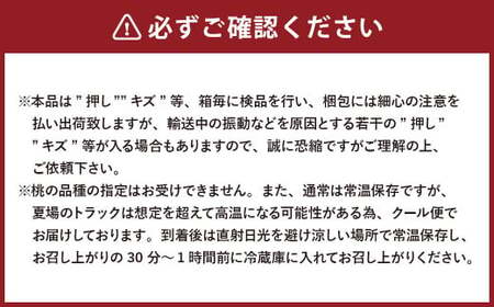 詰合 ／ 白桃 （1玉220g以上） 2玉 ・ ニューピオーネ （1房480g以上） 2房 化粧箱入り【2025年7月下旬～8月上旬発送予定】 ／ 桃 もも 葡萄 ぶどう 果物 果実 フルーツ 旬 詰