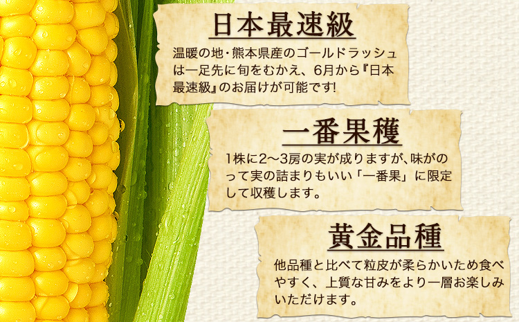 日本最速級出荷 朝採り ゴールドラッシュ 10本入り 3L-Lサイズ 《6月上旬- 6月末頃出荷》  とうもろこし トウモロコシ---oz_cgrdr_ac6_r7_11000_10p---