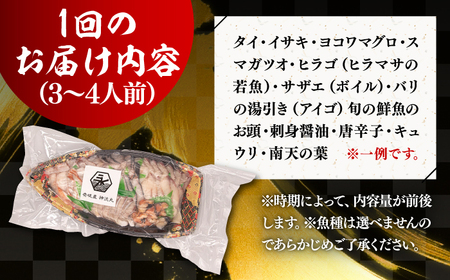 【全2回定期便】 豪快 舟盛り 「永村印の神洸丸大漁舟盛り」 3〜4人前《壱岐市》【神洸水産】 刺身 刺し身 海鮮 鮮魚 海産物[JFI005]