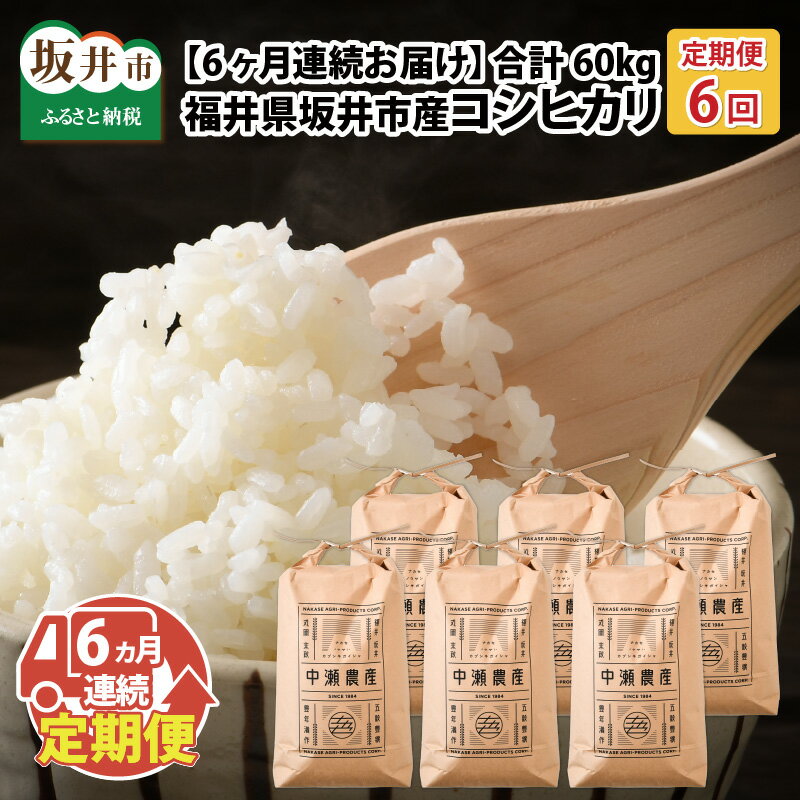 【ふるさと納税】【先行予約】【令和7年産・新米】【6ヶ月連続お届け】福井県坂井市丸岡町産 コシヒカリ10kg×6回　計60kg（精米方法選べます）【2025年10月より順次発送予定】 【お米 定期便 こめ こしひかり 玄米 白米 10キロ 6ヶ月 定期 国産 ふるさと納税米 産地直送】