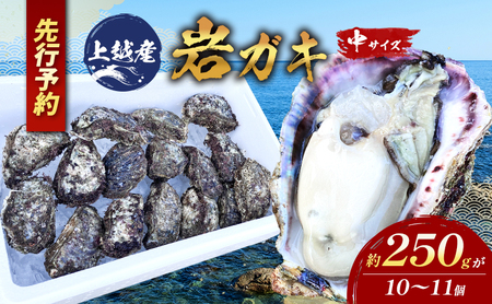 【先行予約】上越産天然岩ガキ　中サイズ（約220～250g）10～11個 海産物　2025年7月中旬以降順次発送