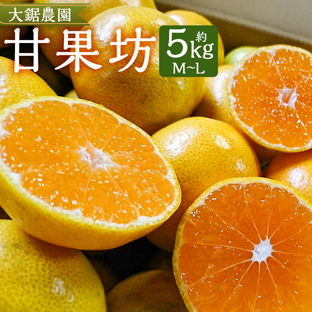 【ふるさと納税】みかん 大鋸農園 甘果坊 5kg | 佐賀県 太良町 みかん ミカン 蜜柑 早生 極早生 ふるさと納税 5kg 佐賀県 太良町 有明海 柑橘 甘い 黒酢 果物 フルーツ LB7x1 【2026年10月下旬～12月下旬配送予定】