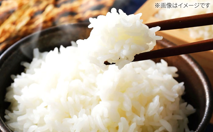 【先行予約】【令和7年度産】こだわりの特別栽培！無洗米　ヒノヒカリ 5kg 【有限会社定松ファーム】 [IBV006]