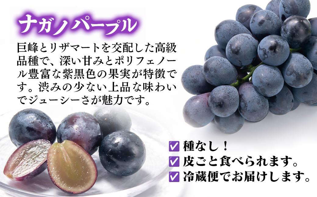【先行予約】シャインマスカット・ナガノパープル 食べ比べセット 計1.7kg以上 宮崎県西都市産ぶどう 2026年発送＜66-1a＞