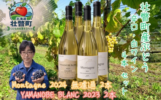 昭和新山ワイン YAMANOBE BLANC 2023(ヤマノベブラン）、Montagne 2024 無濾過(モンターニュ）白ワイン 辛口 750ml 各2本セット【ふるさと納税 人気 おすすめ 白ワイン 昭和新山 ワイン 白 辛口 お酒 壮瞥町産 ぶどう 100％ ピノノワール シャルドネ ケヴェルツトラミネール 丹波ワイン セット 飲み比べ 北海道 壮瞥町 送料無料】SBTQ015