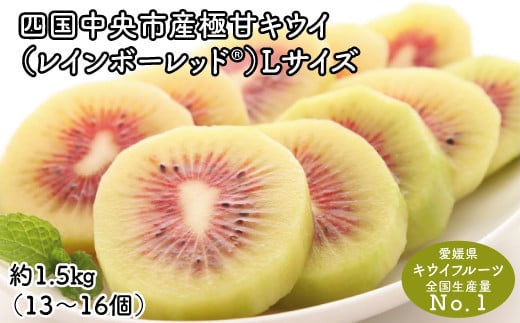 ＜10月下旬以降発送＞【ぽぽ農園】レインボーレッドキウイ（四国中央市産極甘キウイ） Lサイズ約1.5kg（13～16個）
