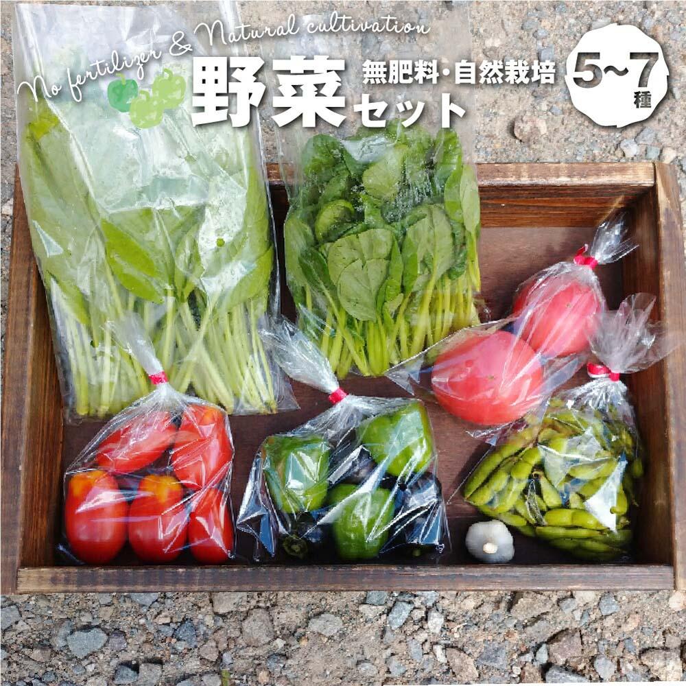 【ふるさと納税】【数量限定】無肥料 自然栽培 野菜セット 5～7種 | やさい 野菜詰合せ 秋野菜 産地直送 詰合せ セット 新鮮野菜 飛騨高山 amrita農園 KM001
