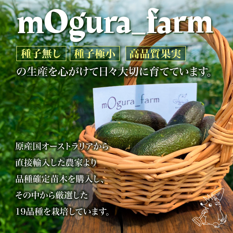 フィンガーライム　150g 【0094-004】_イメージ3