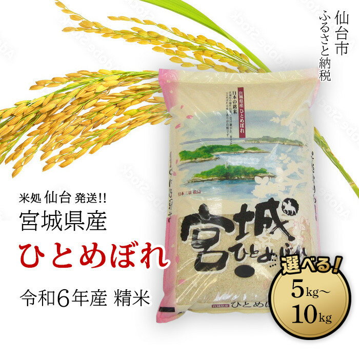 【ふるさと納税】【宮城県産 ひとめぼれ】令和6年度産 精米 ＜ 選べる内容量 5kg ／ 10kg ＞ 米 お米 こめ コメ ご飯 ごはん】 | お米 こめ 白米 食品 人気 おすすめ 送料無料