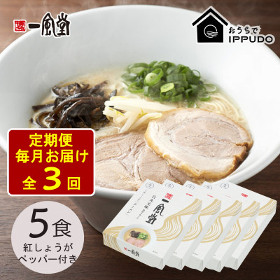 【毎月定期便】一風堂 豚骨ラーメン白丸1食箱×5箱 とんこつ 博多細麺 紅しょうがペッパー付全3回【4064313】