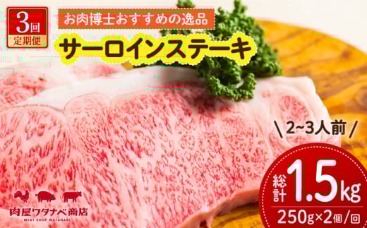 【3回定期便】 長崎和牛 サーロインステーキ 250g×2枚 長与町/ワタナベ商店 [ECT010] 国産 長崎和牛 和牛 サーロインステーキ サーロイン ステーキ さーろいん 2枚 牛肉 冷凍 ソース付き ギフト お祝い 定期 定期便