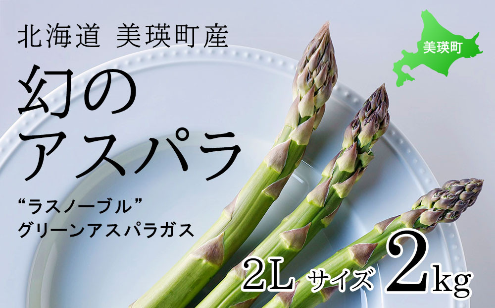 
            【令和8年産先行予約】 幻のアスパラ 2Lサイズ 2kg ラスノーブル <令和8年産 > 北海道 美瑛町 本山農場 グリーンアスパラ  | グリーン アスパラガス アスパラ あすぱら あすぱらがす 採れたて 新鮮 旬 産地直送 野菜[029-14]
          