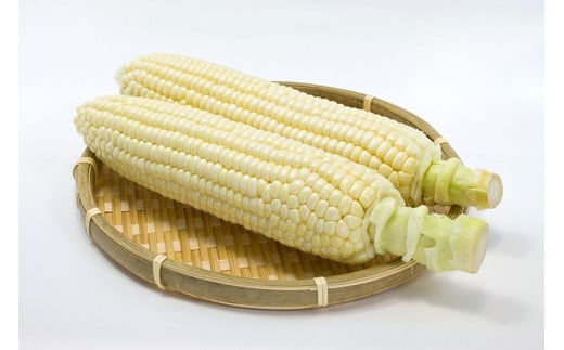 【9月上旬～9月下旬出荷】小林農園の白くて甘いとうもろこ
