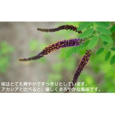 ふるさと納税 久慈市 【希少】「はちみつ イタチハギ 300g」国産 純粋 非加熱 無加糖 無添加 はちみつ |  | 03