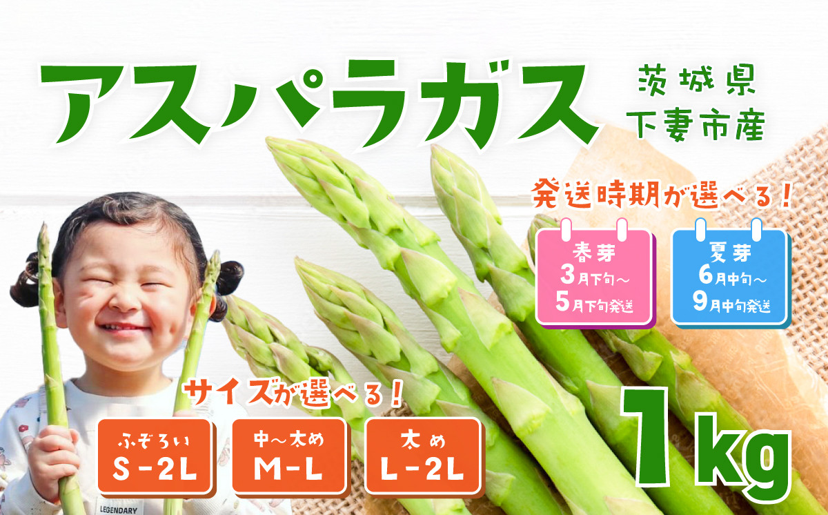 
                  朝採りアスパラガス 1kg 【 時期 ・ サイズが選べる 】 ハウス栽培 春芽 26年3月下旬 ～ 5月発送  /  夏芽 6月中旬 ～ 9月発送 【 先行予約 グリーンアスパラ 野菜 サラダ 農家直送 産地直送 訳あり 不揃い ふぞろい 】
                