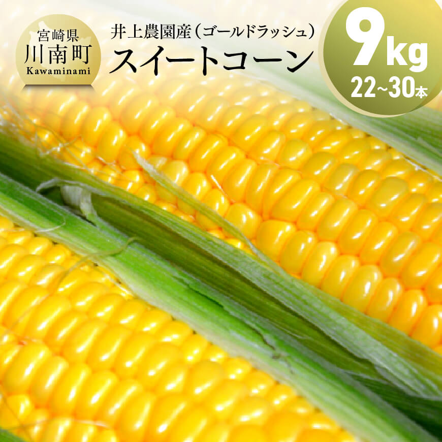 【令和7年発送】宮崎県産とうもろこし　井上農園産スイートコーン「ゴールドラッシュ」4.5kg×2 トウモロコシ スィートコーン 2025年発送 先行予約 数量限定 期間限定