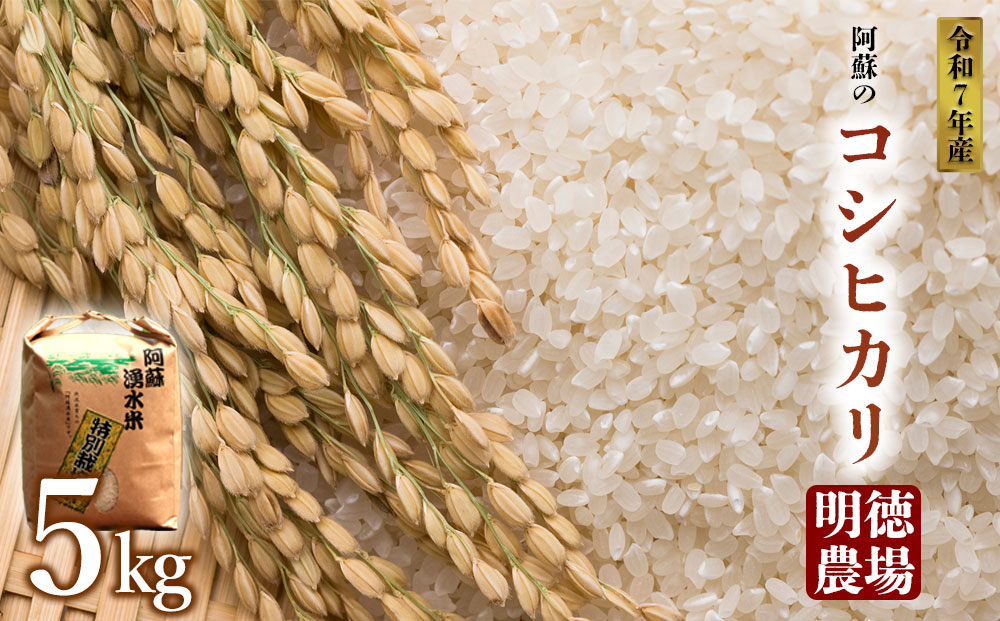 令和7年産 コシヒカリ 5kg 明徳農場  白米 熊本県 阿蘇市
