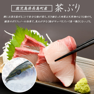 どん薩摩の茶ぶり入り海鮮ちらし丼回数券(3回分)【株式会社Never Land】never-7268