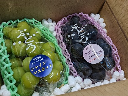 担当者おすすめ「味覚の里なかがわ」の採れたてくだもの【農家直送】木下農園のぶどう２種セット　約１Kg（シャインマスカットとナガノパープル）【種なし　皮ごと】