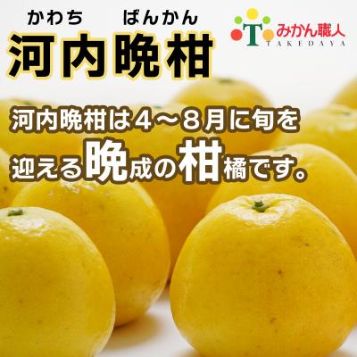 ふるさと納税 愛南町 冷凍 河内晩柑 500g×2袋 小分け 愛南ゴールド 和製グレープフルーツ おやつ 柑橘 かんきつ |  | 01
