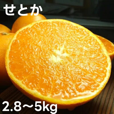 【ふるさと納税】 せとか 2.8kg 5kg サイズおまかせ / みかん 柑橘 果物 湯浅町 田村産 ※2月中旬～3月下旬頃に順次発送予定 (お届け日指定不可) //dekopon