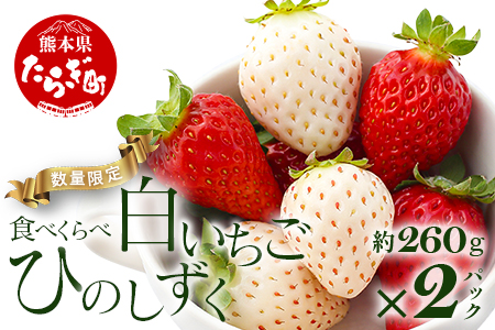 熊本県産いちご ひのしずく・白いちご 約260g×2パック 産地直送 国産 新鮮 フレッシュ 果物 苺 103-0007