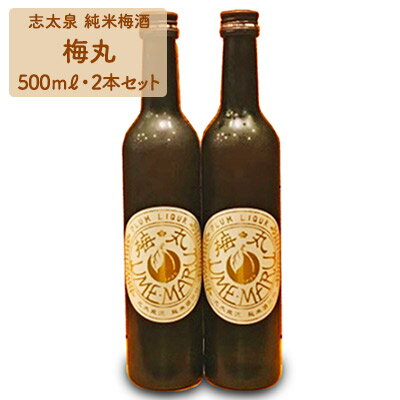 【ふるさと納税】 梅酒 500ml × 2本 セット 志太泉 純米 梅丸 お酒 地酒 うめ アルコール 飲料 家飲み 宅飲み 飲み会 晩酌 ギフト プレゼント 贈り物 梅 果実酒 国産 日本酒ベース 甘口 食中酒 美味しい 人気 おすすめ 藤枝市 静岡県