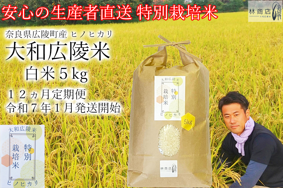 【定期便先行予約】【令和8年 1月～ 12ヶ月定期便】　特別栽培米　奈良県広陵町産ヒノヒカリ　白米5kg×12ヶ月 /// ひのひかり ヒノヒカリ ブランド米 大和米 白米 安心 安全 美味しい 人気 奈良県 広陵町 特別栽培米