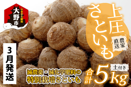 【先行予約】【3月発送】上庄さといも 5kg 減農薬・減化学肥料の特別栽培里芋 農家直送