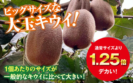 【先行予約】キウイフルーツ 大玉(3L～4L玉) 約150g×16個 大洲市/西村農園[AGDC003]キウイフルーツキウイフルーツキウイフルーツキウイフルーツ