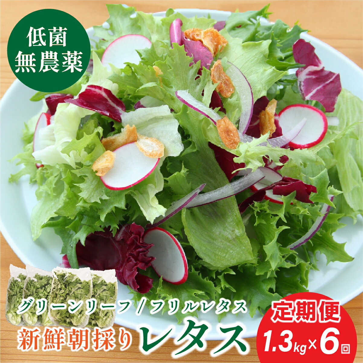 【ふるさと納税】【 定期便 】 無農薬 朝採り フリルレタス グリーンリーフレタス 個包装 2種類 1.3kg　6回 | 兵庫県 丹波篠山市 洗わずに食べられる 新鮮 野菜直送 フレッシュ サラダ用野菜 健康志向 産地直送 緑黄色野菜 新鮮 安心野菜 レタスボウル カロテン