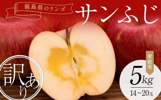 
            ＜訳あり家庭用りんご＞福島県のリンゴ　サンふじ約5kg(14～20玉) F7X-0014
          