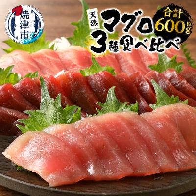 ふるさと納税 焼津市 マグロ 赤身 3種 食べ比べ セット 合計約600g 冷凍　F2(a22-034)
