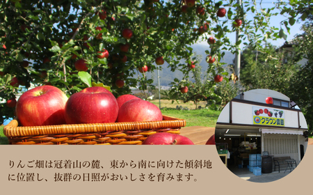 【2025年先行予約】【りんごの宝石箱】 信州産りんご 詰め合わせセット 約3kg 旬のりんご品種を3種以上厳選 千曲市産りんご 長野のりんご