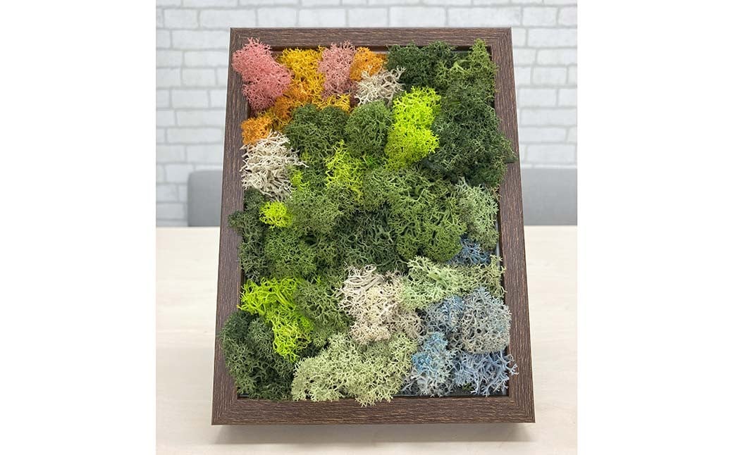 
            スカンディアモス アートワーク 枠カラー：ブラウン （19.6cm×14.8cm×H4～5cm） インテリア 【5月上旬発送開始予定】
          