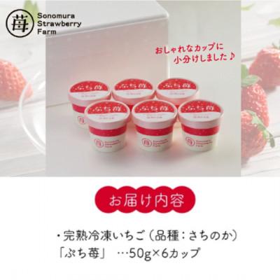 ふるさと納税 宇土市 熊本県宇土産 完熟冷凍いちご「ぷち苺」6カップ 練乳付き 園村苺園 |  | 01