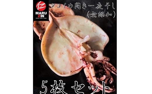 G-50004 タコイカ開き一夜干し1枚×5P