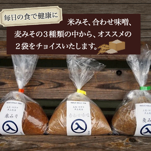 井上糀店 味噌セット (ホーロ—容器つき） 味噌 手作り 無添加 国産大豆 ／Lik-A03