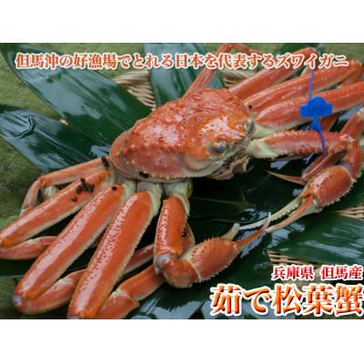 ふるさと納税 京丹後市 日本海産　ブランド蟹　茹で松葉蟹【厳選】中大サイズmatubakani800