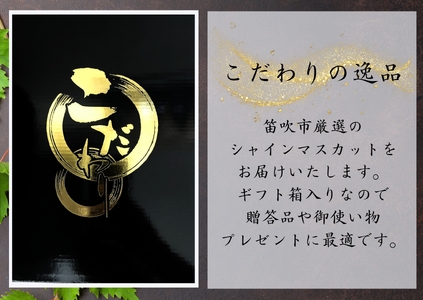 【2026年発送★先行予約】『数量限定』『ギフトや贈答用に』契約農家厳選シャインマスカット700ｇ以上１房入 167-030-26y