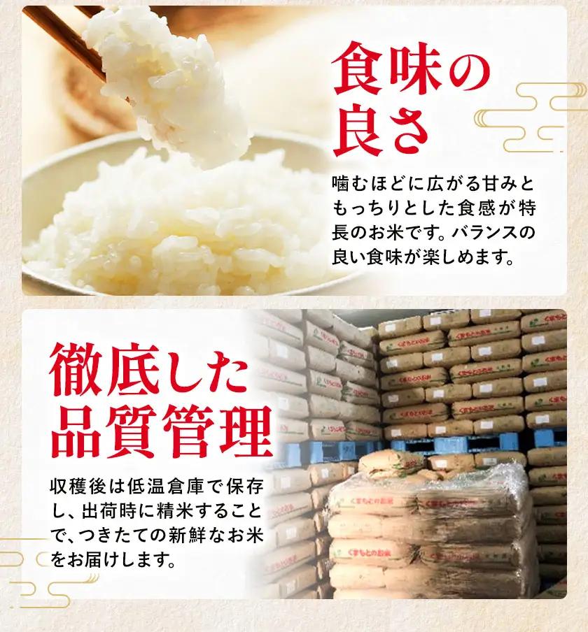 【6ヶ月定期便】＼熊本県 南関町産／ 令和7年産 米 白米 10kg(5kg×2袋) /月 ひのひかり《お申し込み月の翌月から出荷開始》 ミネラル肥料栽培米 精米 国産米 単一原料米 ごはん お米 ご