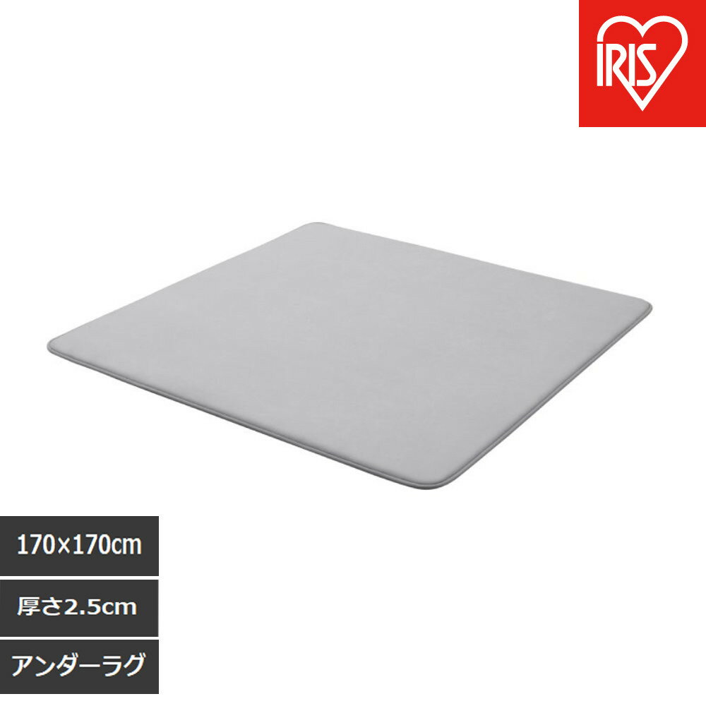 【ふるさと納税】はがして洗える　Hagash　アンダーラグ　2．5cm　HAGU25-1818