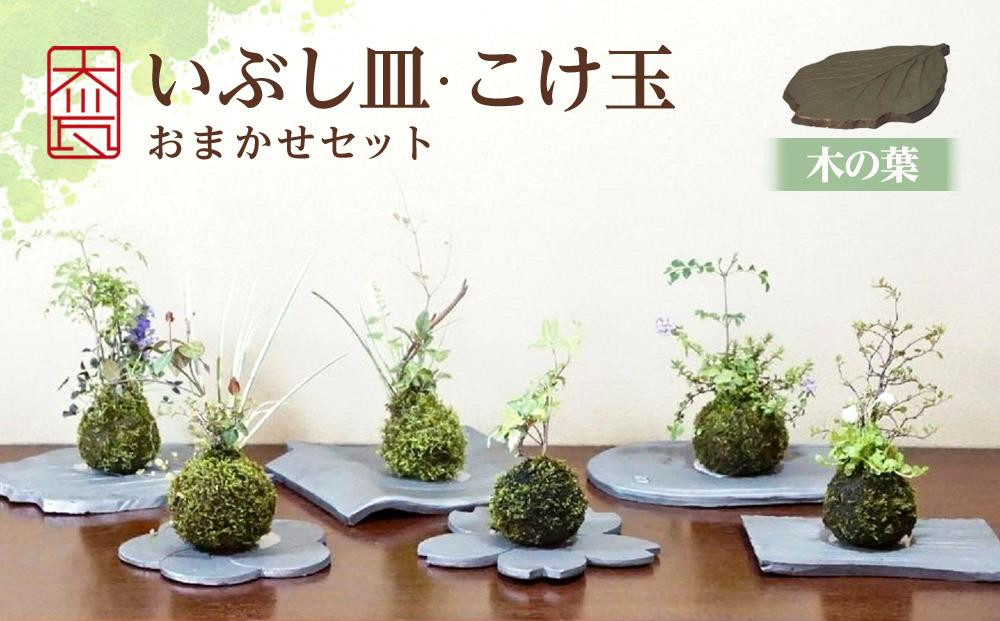
いぶし皿（木の葉）・こけ玉おまかせ　セット
