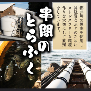 AB-EF1 ＜毎月数量限定＞年末年始や宴会に！とらふく刺身・ちり鍋セット(4人前) 【大田商店】