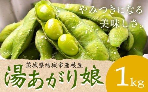 枝豆 茨城県結城市産枝豆「湯あがり娘」1kg（茶豆味）有限会社大嶋農園 《7月中旬-8月上旬頃出荷》 野菜 国産 甘み 香り 濃厚 つまみ ビールのおつまみ ビールのつまみ【配送不可地域あり】