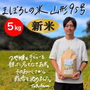 【ふるさと納税】山形県小国町産 山形95号 精米 5kg×1袋【1509406】