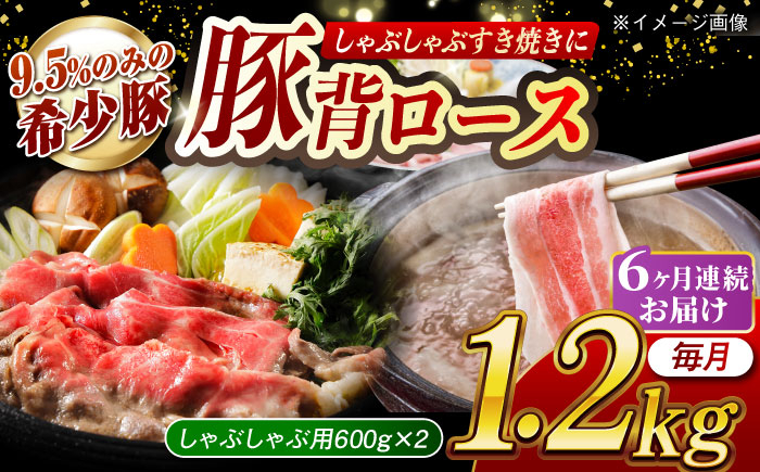 肉 豚 ぶた ブタ ロース しゃぶしゃぶ 小分け 西海市 長崎 九州 定期便