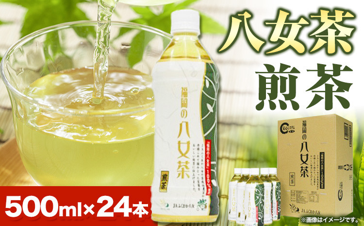 
八女茶 煎茶ペットボトル 500ml×24本 株式会社親和園《30日以内に出荷予定(土日祝除く)》 お茶 緑茶 茶 八女茶 ペットボトル
