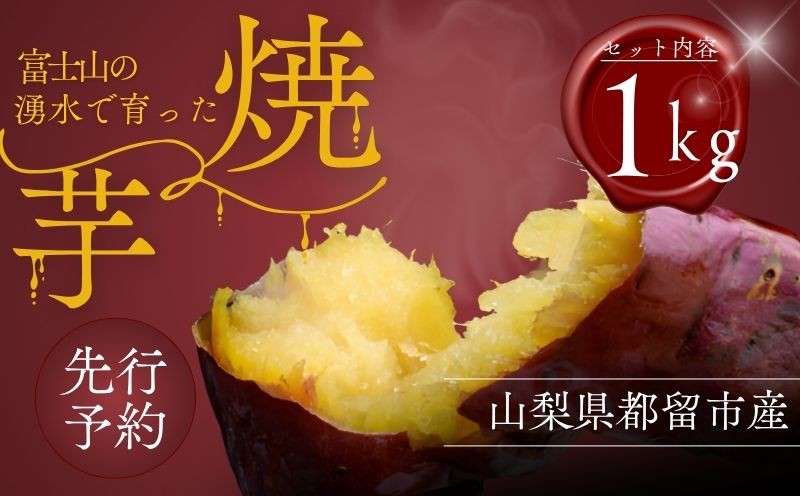 
            【先行予約】富士山の湧水で育った焼きいも【アズールヤード】｜  サツマイモ さつまいも スイーツ 贈答用 プレゼント ギフト  
          